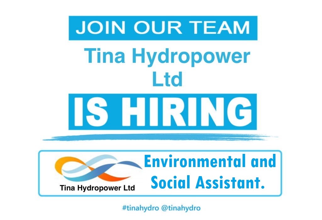 Environmental and Social Assistant
